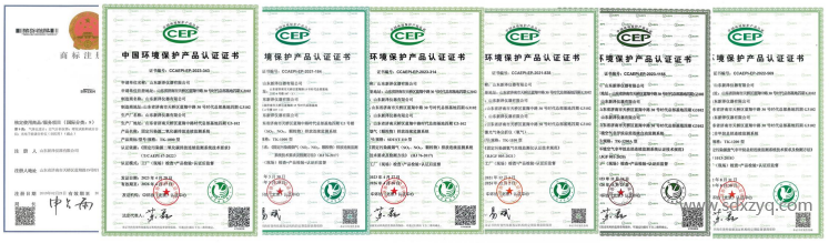 1711438280147189.png 新澤中國(guó)環(huán)境保護(hù)產(chǎn)業(yè)協(xié)會(huì)證書.png